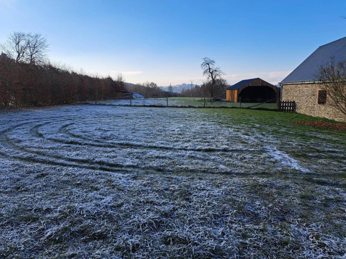 Gite L'Olivier A Filly - Nadrin, Entre Houffalize Et La Roche-En-Ardenne Eksteriør billede
