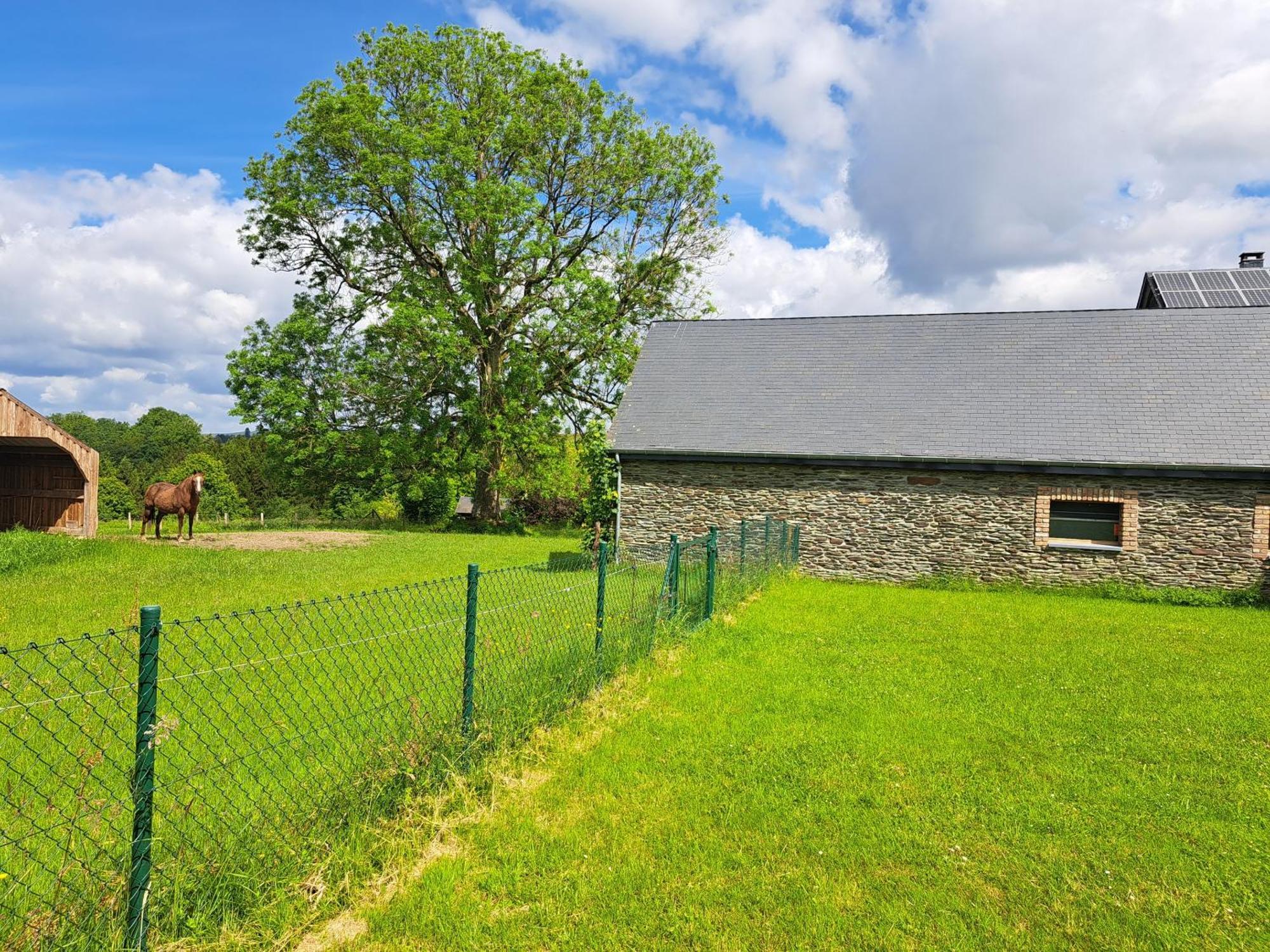 Gite L'Olivier A Filly - Nadrin, Entre Houffalize Et La Roche-En-Ardenne Eksteriør billede